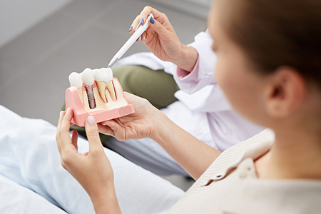 A dental hygienist holding up a model mouth with teeth for demonstration.